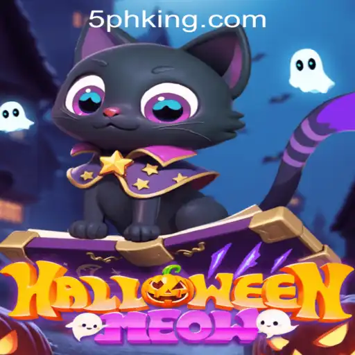 Unraveling HalloweenMeow: A Spooky Adventure in the Digital Realm
